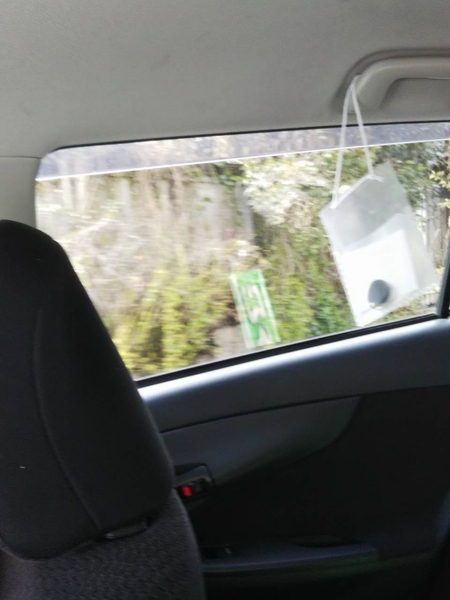 �r�[�R�����P�E�Q�E�R������J�n