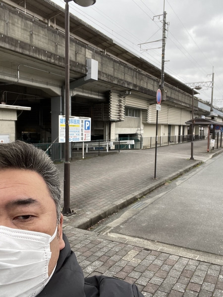 �Ƒ����������A�ی�