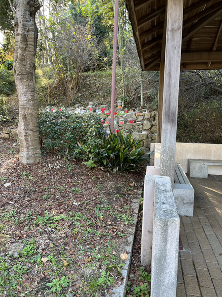 �Ƒ����������A�ی�Q���