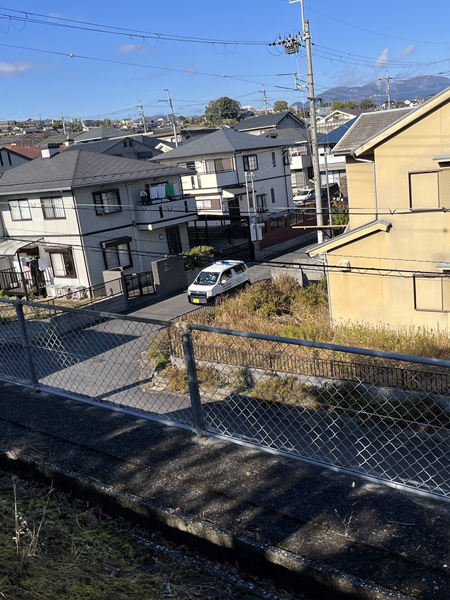 �Ƒ����������A�ی�Q���